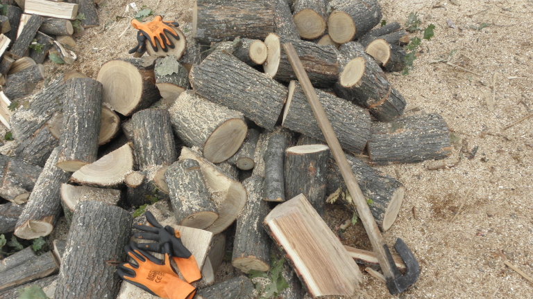 В Родопите плащат дърва, а карат зимата на студено