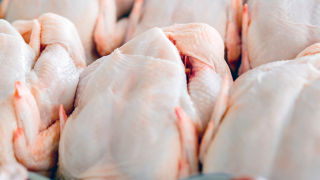Очаква се скок на цените на пилешкото във Великобритания заради скъпата електроенергия