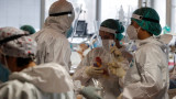  Испански учени откриха какво усилва смъртността при сериозни Коронавирус пациенти 