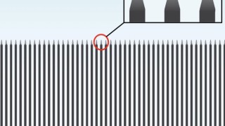 Президентът на САЩ Доналд Тръмп показа дизайна на Стената с