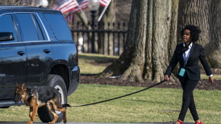 Кучето на семейство Байдън Командир беше изведено от Белия дом
