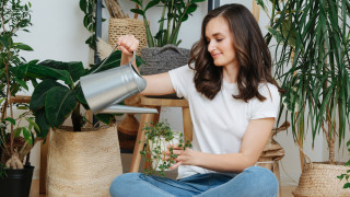 Растенията у дома ни носят щастие спокойствие и радост за