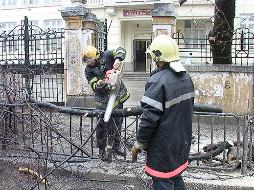 12 дървета повали вятърът в София 