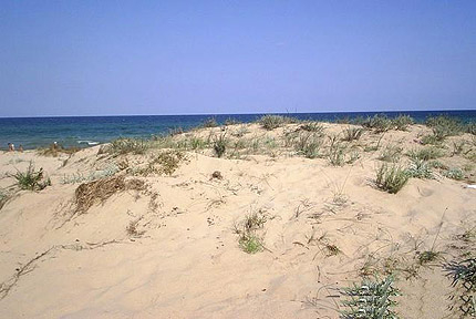 Държавата да защити дюните в Слънчев бряг, зоват природозащитници