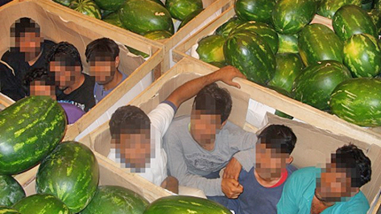 Изображение 119465