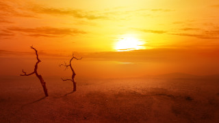 Едва ли има човек на планетата който да не смята