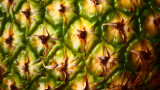 Кактусите, коркът, ананасът и гъбите и как се прави от тях изкуствена, екологична кожа
