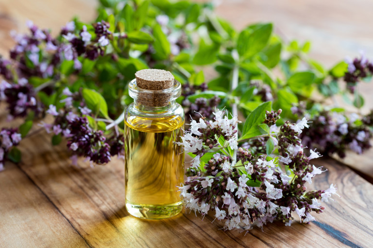 Снимка 780466