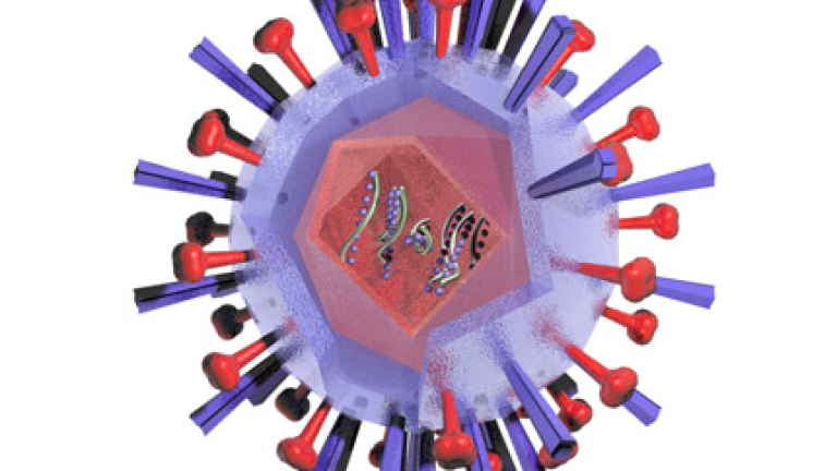 Изображение 10966