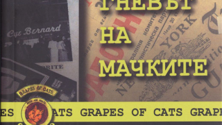 Българският роман "От чекмеджето" е пародия и веселба