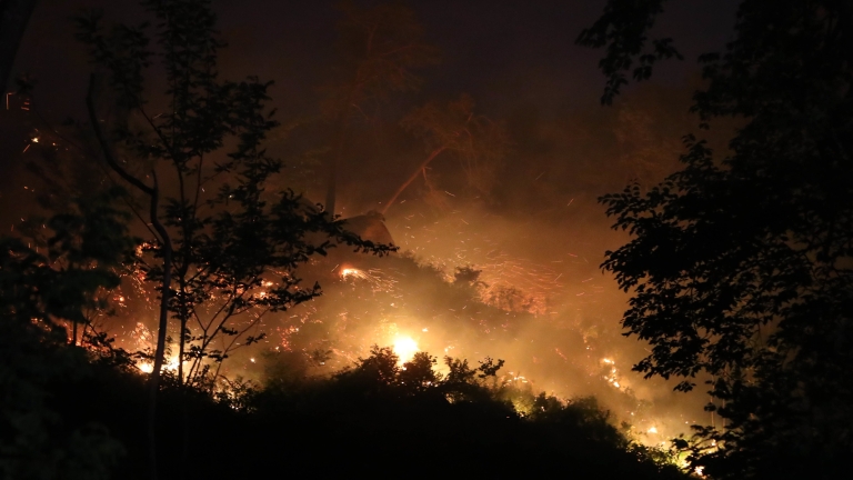 Спешни мерки и солени глоби срещу горските пожари в Гърция