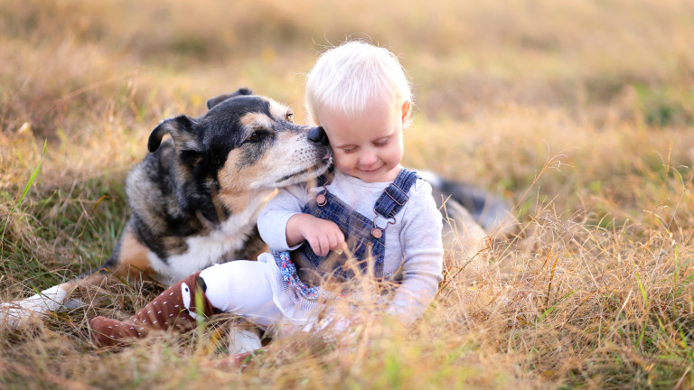 16 от най-подходящите породи кучета, ако имаме деца