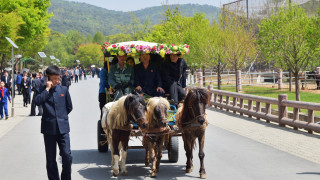 Защо й е на Северна Корея да внася породисти коне от Русия за стотици хиляди долари?