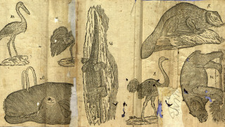 Българската народна банка БНБ пуска в обращение сребърна възпоменателна монета