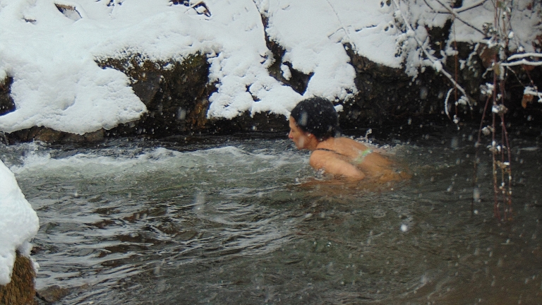 Изображение 273966