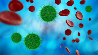 Правителството одобри 1 5 млн лева за финансиране на национална научна