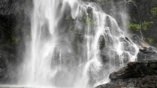 Паднали дървета убиха 20 ученици и раниха други 11 в Гана