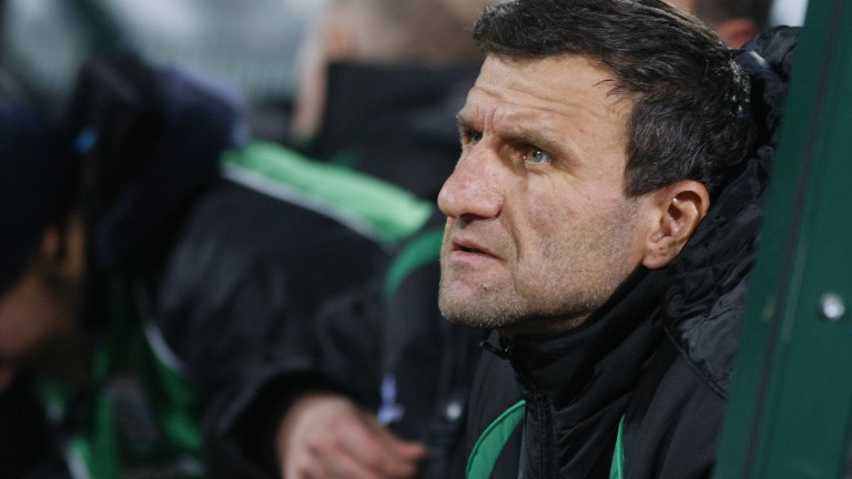 Изображение 324466