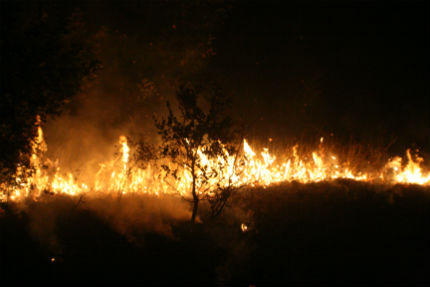 Пожар в гората край хасковското село Брягово