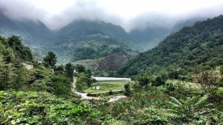 Китай знае как да се справи с мръсния въздух