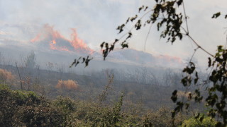 Навлизането на пожара от гръцка територия в България беше спряно