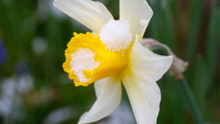 Атмосферното налягане ще се повишава и ще стане по високо от