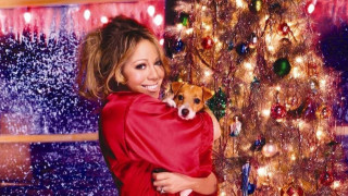 Всеки петък не пропускаме да представим пет от най добрите нови