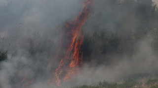 Пожар спря движението на влаковете между Стара Загора и Казанлък