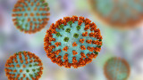 Грипният вирус и как точно ни разболява