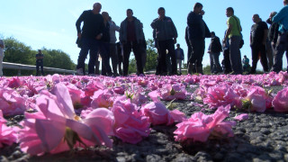 Розопроизводителите блокираха пътя Казанлък - Стара Загора