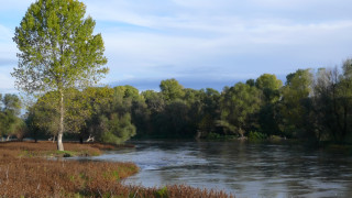 Водните ресурси в Източномаришкия речен басейн са застрашени в резултат