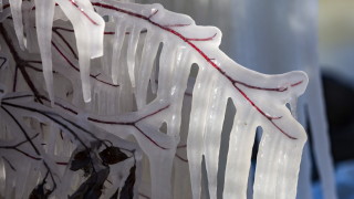 НИМХ обявi за днес предупреждение от първа степен жълт