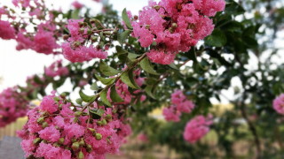 През деня отново ще е слънчево и горещо Привечер от