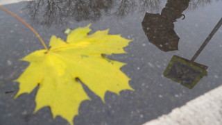 Жълт код за значителни валежи в Западна България и силен