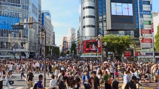 В Япония продават обувки с GPS