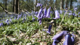 Дъжд и слънце се редуват