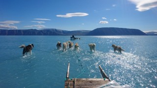 Бързо топящият се морски лед в Гренландия представлява изключителна опасност