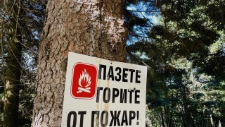 Напълно овладян е пожарът избухнал вчера в Невестинско съобщава БНР На