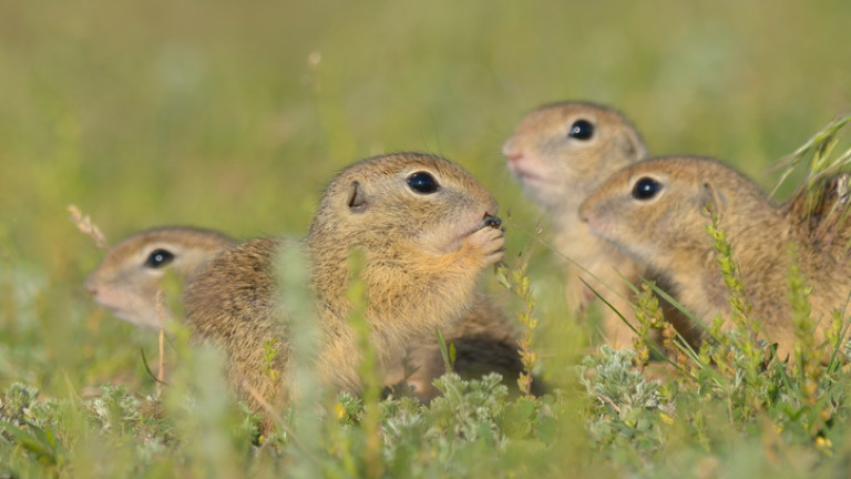 Изображение 360067