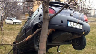 Автомобил се качи на дърво