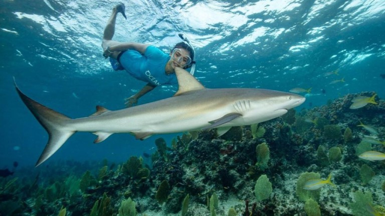 Нина Добрев плува с акули (СНИМКИ)