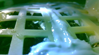 Първото зелено листо на Луната умря след рязко падане на