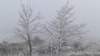 Шофьорите на които им предстои пътуване през следващите дни да