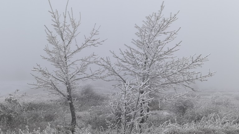 13 области в оранжево и жълто заради очаквани валежи