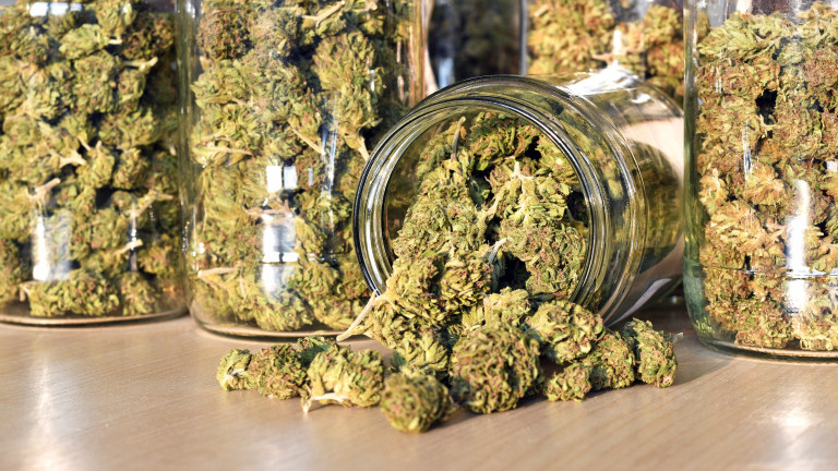Канадска компания ще изнася марихуана, отгледана в България и Македония