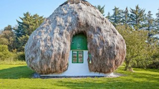 Покрив от 32 тона водорасли