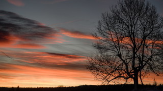 Жителите на Бостън свалиха зимните дрехи за втори пореден ден