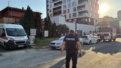 Двама са в болница след нападение на куче в столичния "Люлин"