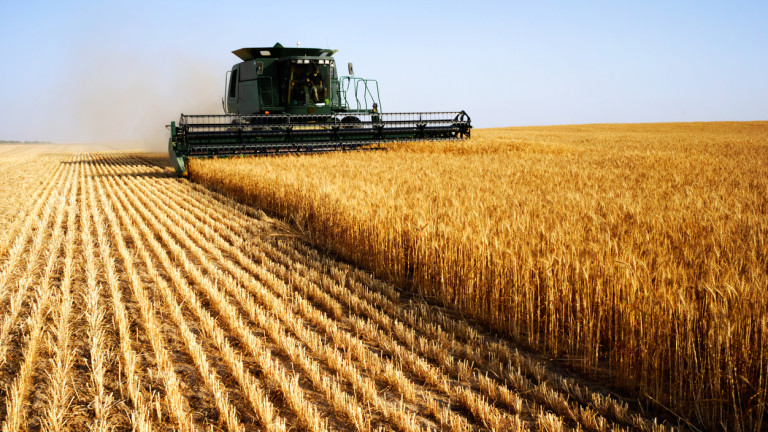 Цената на зърното, царевицата и пшеницата са най-високи през март