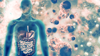 Новооткрита част от нашата имунна система може да бъде използвана
